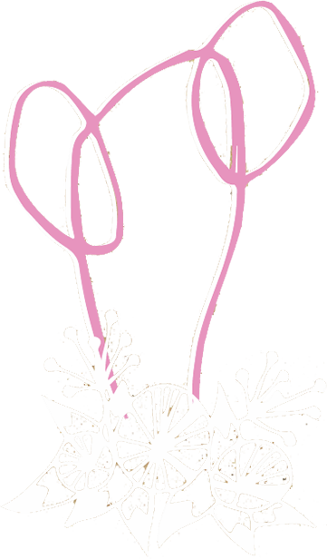 Le Cactus Rose Longecourt-en-Plaine